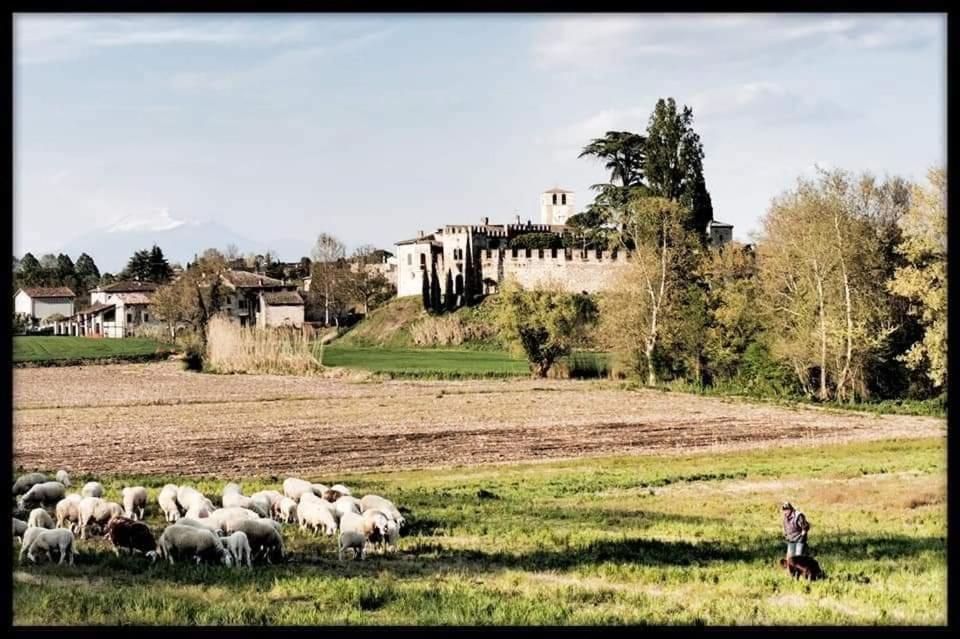 Le Camere Di Virgilio Monzambano Esterno foto